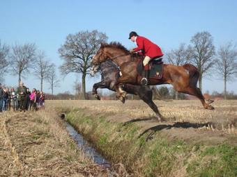 B&B 't Verloren Schaap