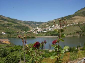 Hostal Quinta Da Azenha