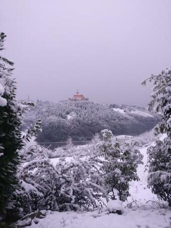 B&B Poggio San Luca