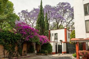 Viva Coyoacan