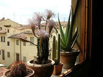 Bed & Breakfast Locanda San Giovanni